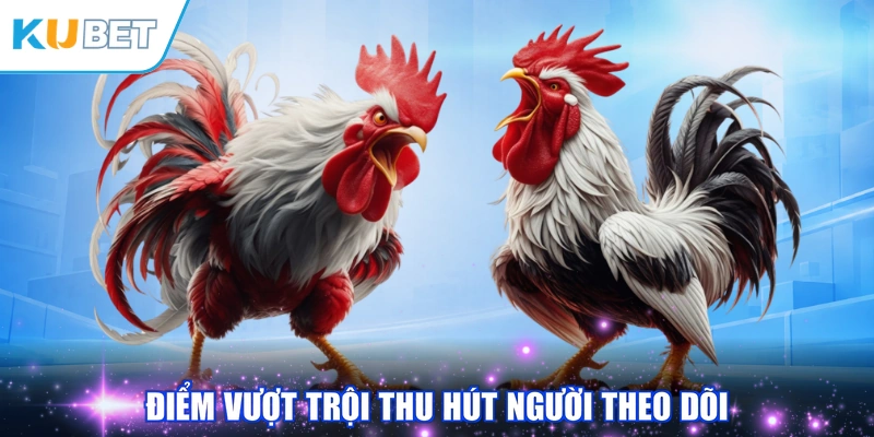 Điểm vượt trội thu hút người theo dõi